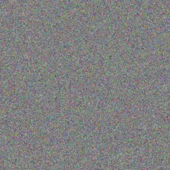 Candice Fox adrian price