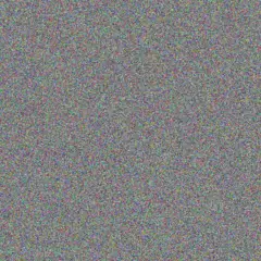 Candice Fox jamie evans