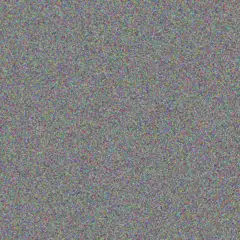 Candice Fox zoe watson