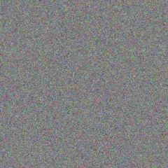 Candice Masuku nicolaas mazibuko