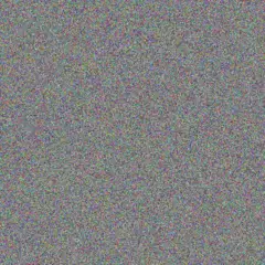 Carey Larkin raheem beier