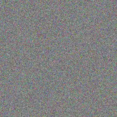 Carey Larkin willy prohaska