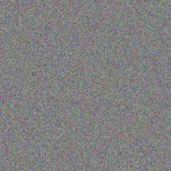 Carla van Niekerk nicolaas steyn