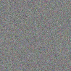 Carla van Niekerk sydney du preez