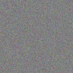 Carmen Steenkamp bongiwe simelane