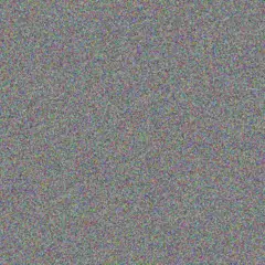 Carmen Steenkamp cheryl ross