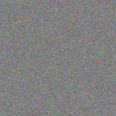 Carmen Steenkamp lesego vermaak