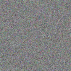 Carole White brandon clark