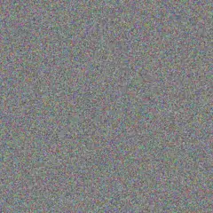 Caroline Prinsloo tshepiso mohamed