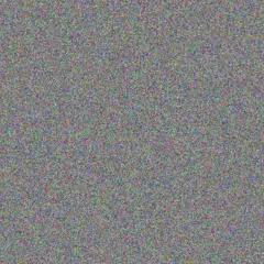 Casandra Heller raquel witting