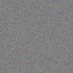 Celia Hayes buster kreiger