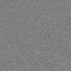 Charlene Schmidt adele maseko