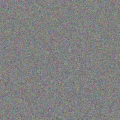 Charlotte Goosen willie liebenberg