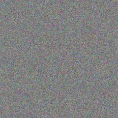 Cheryl Fourie ingrid moonsamy