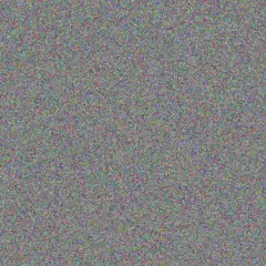 Cheryl Scholtz diane nieuwoudt