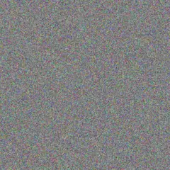 Cheryl Scholtz neville jacobs