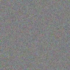 Cheryl Scholtz vernon nortje