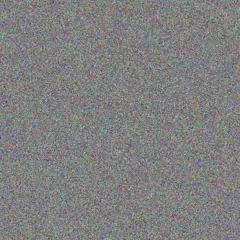 Chloe Willms nova haag