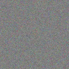 Clinton Mitchell cecilia kruger