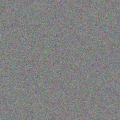 Constance Jacobs adrianna prosacco