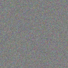 Cornelius Allie jenny stander