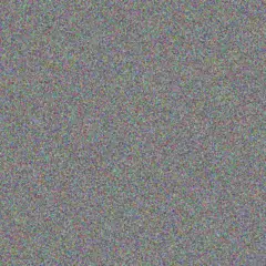 Cornelius Allie prudence erasmus