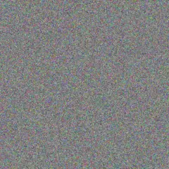 Cortney Haag thaddeus steuber