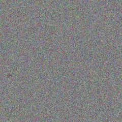 Coty Metz rene schimmel