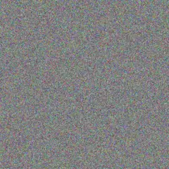 Craig Van Der Berg nompumelelo cele