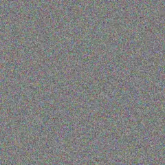 Dario Goldner elmira gutmann