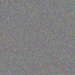 Dario Goldner renee heller