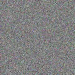 Deborah Van Rensburg barbara stander