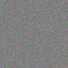 Deborah Van Rensburg nonkululeko koen