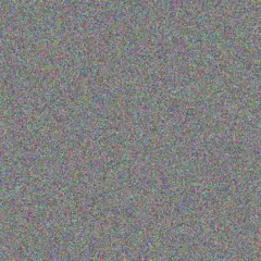 Deborah Van Rensburg vanessa van schalkwyk