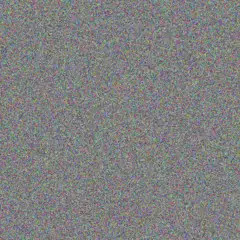 Denise Olivier nompumelelo conradie