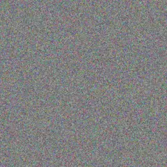 Desiree Steyn andrew boshoff