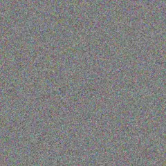 Devon Tromp quinton farrell