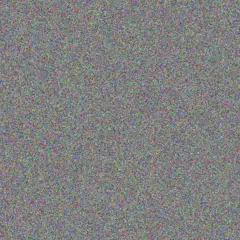 Diane Msibi neil miller