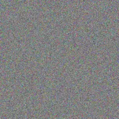 Dianna Wilkinson noemie deckow