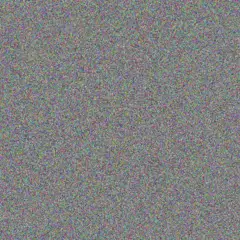 Donna Walker steve king