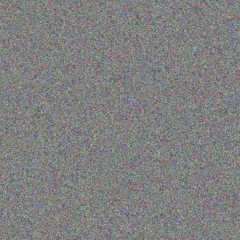 Duduzile Mokwena fikile robinson