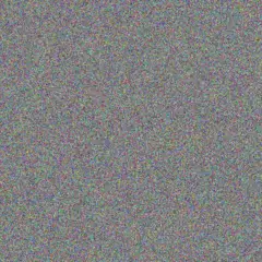 Edward Details irene stander