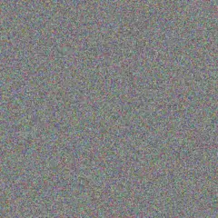 Elaine Muller jennifer botes