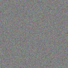 Elaine Muller your hadebe