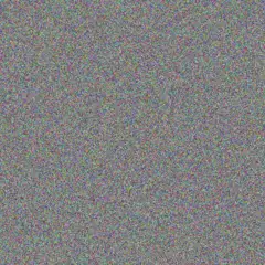 Elise Mayert anita gleichner