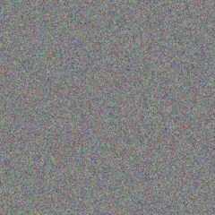 Elise Mayert fletcher collins