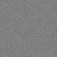 Elizabeth Vorster claudia stander