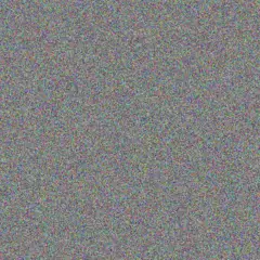 Ethan Ebert owen hills