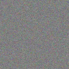 Evie Schimmel brenna osinski