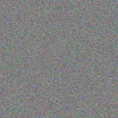 Evie Schimmel jerrold greenfelder